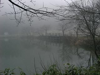 ◆早春の深い霧に包まれた鈴沼　　＠＠＠