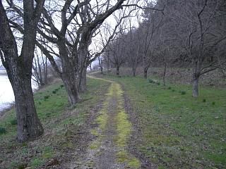 ◆鈴沼の遊歩道　　＠＠＠