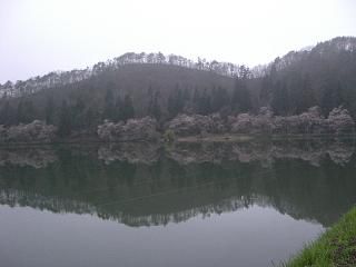 ◆本日の鈴沼　　　＠＠＠