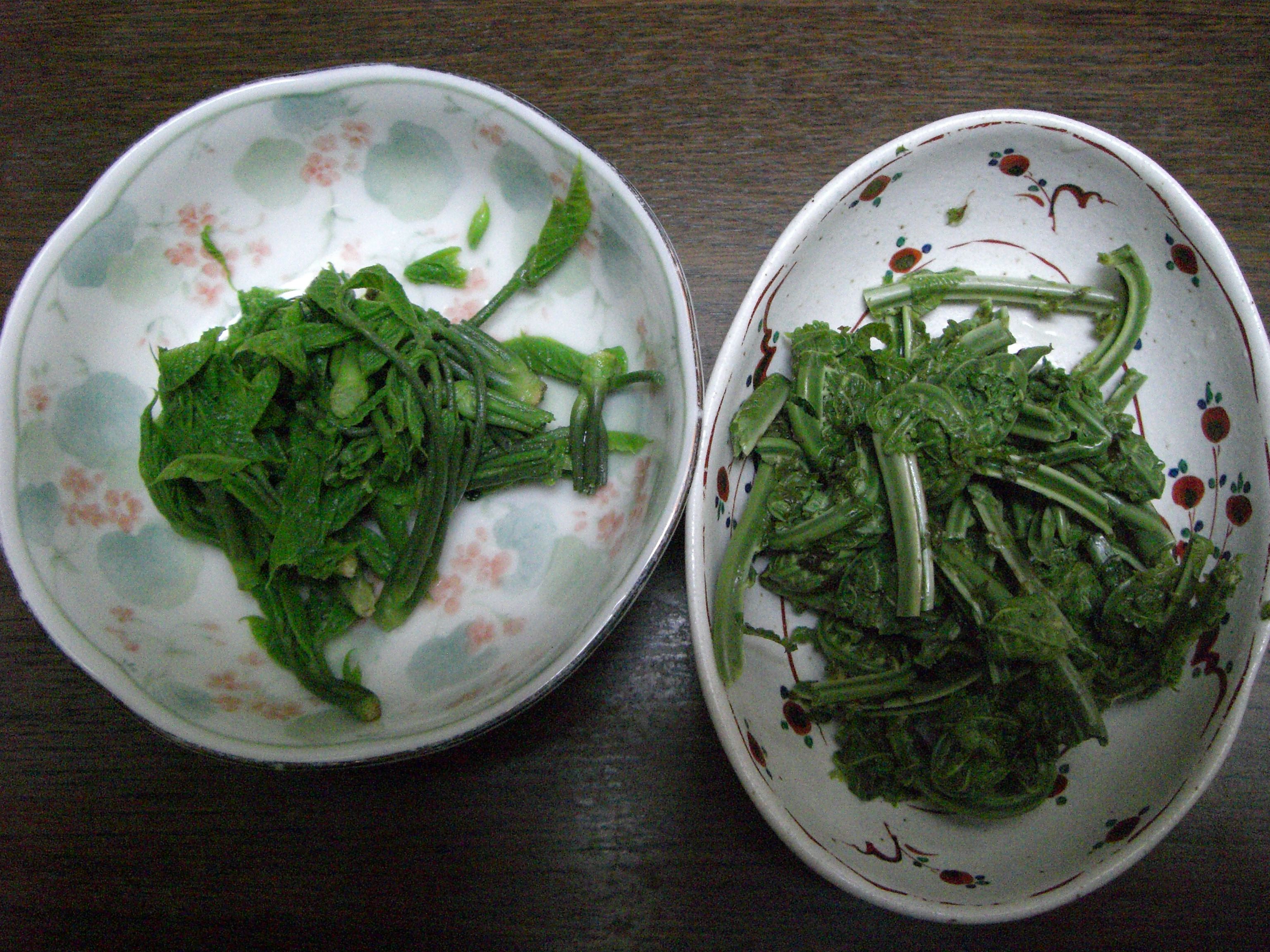 ◆山菜料理　　＠＠＠