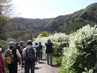 ◆古道ハイク風景　　　＠＠＠
