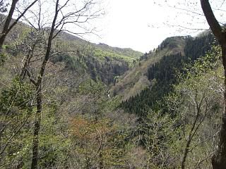 ◆1日で山の色が変わってしまいました。　　＠＠＠