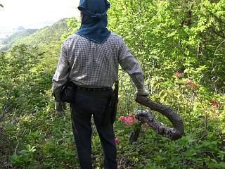 ◆猿の肘掛椅子　　＠＠＠