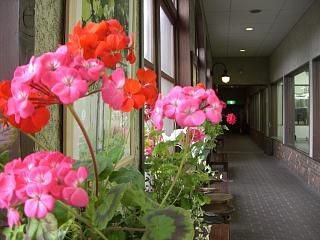 ◆ワイナリー花が迎えてくれました。　　＠＠＠