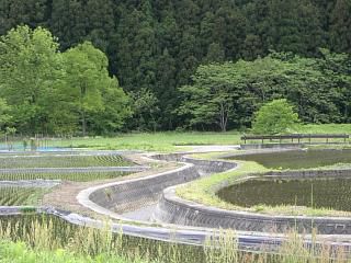 ◆まほろばの里風景　　＠＠＠