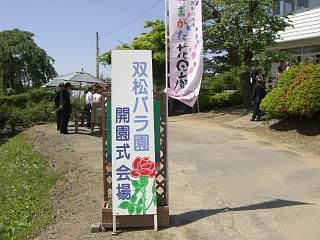 ◆南陽バラ祭り開園しました。　　＠＠＠