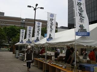 ◆仙台に上がった伊達政宗の旗印　　＠＠＠