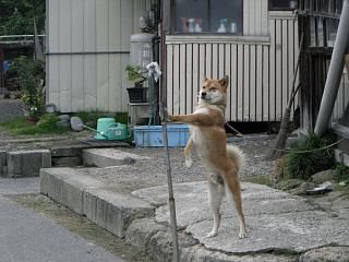 ◆久しぶりのポーズ　　　＠＠＠＠