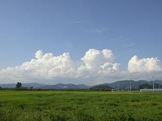 ◆まほろばの里の夏　　＠＠＠