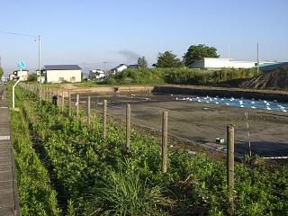 ◆元高畠高校跡地で調査　　＠＠＠