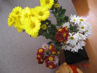 ◆代表的な秋の花　　＠＠＠