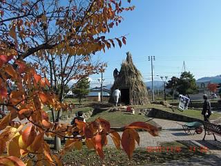 ◆冬咲きぼたん祭りの準備が始まりました。　　＠＠＠