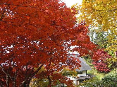 ◆亀岡『一の宮』の紅葉も見事です。　　＠＠＠