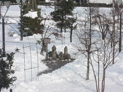 ◆河童の川太郎家族も　-----　　＠＠＠＠