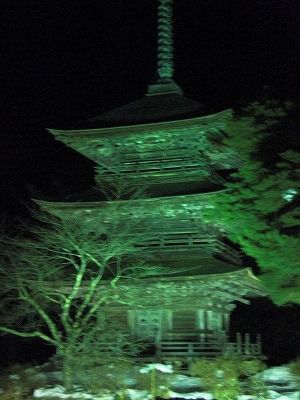 ◆正月の特別夜間照明　　＠＠＠