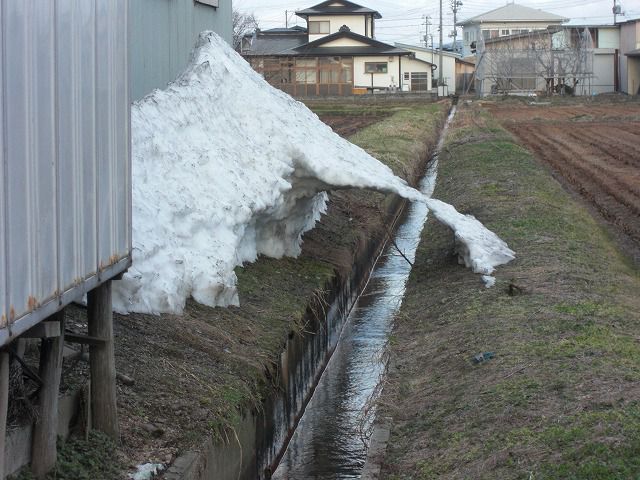 ◆アクロバットか　　＠＠＠