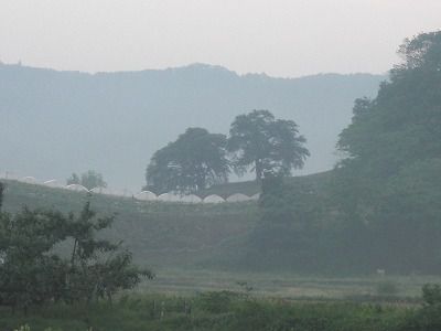 ◆まほろばの里風景　　＠＠＠