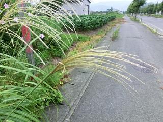 ◆秋の足音が聞こえます。　　　＠＠＠