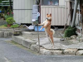 ◆しばらくぶりのポース　　＠＠＠