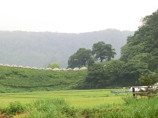 ◆まほろば百景　　　＠＠＠