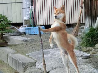 ◆出ました。得意のポース　　＠＠＠