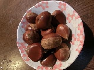 ◆本日の収穫　　＠＠