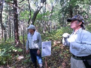 ◆伊達家の要塞　『屋代舘』整備しました。　　　＠＠