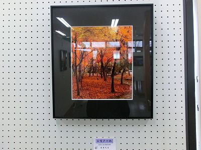 ◆道の駅たかはた　写真展　　＠＠＠