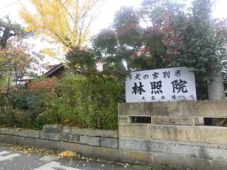 ◆犬の宮別当　＠＠＠＠