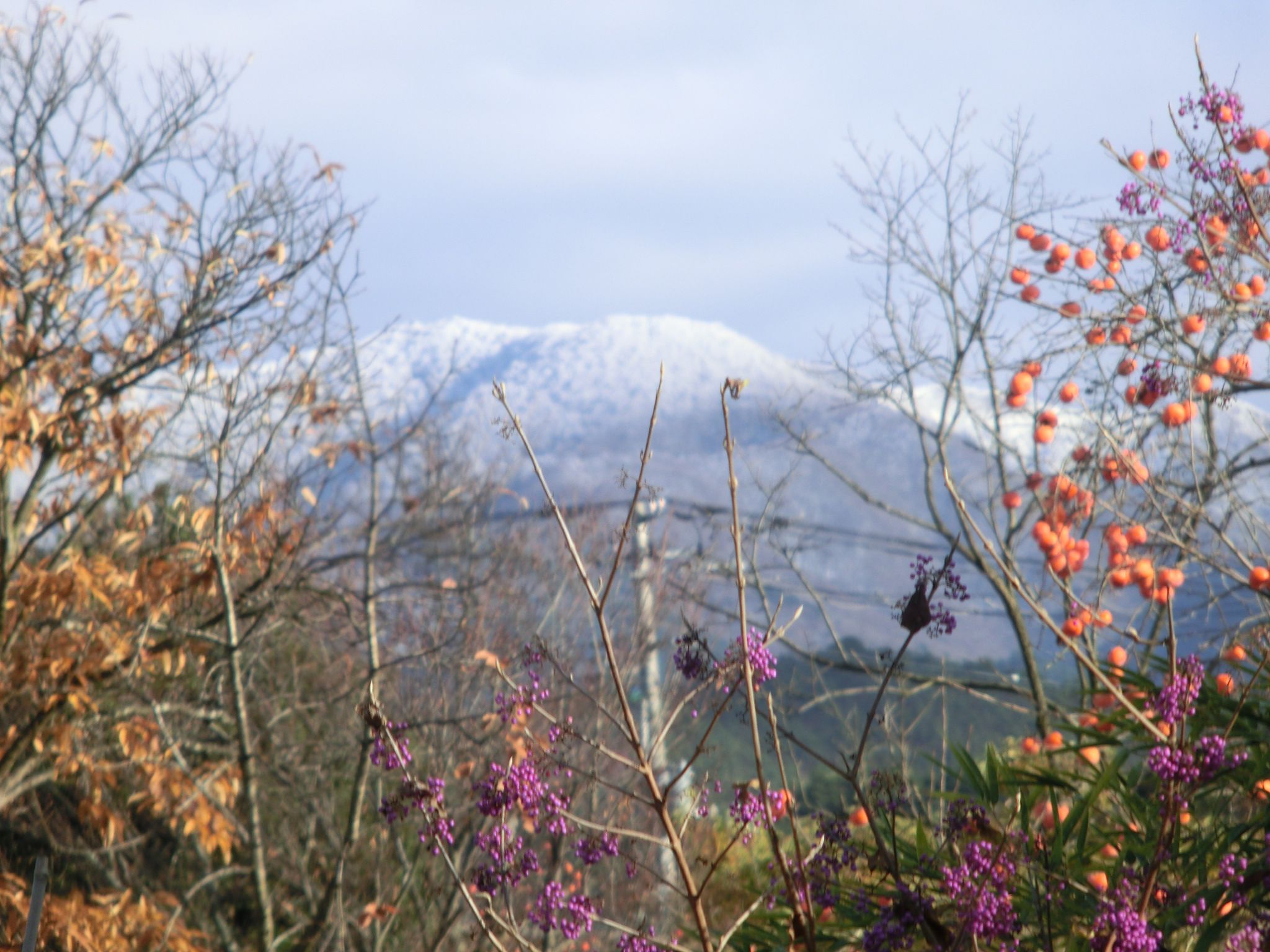 ◆鳩峯山に雪が3回降ると　　　＠＠＠