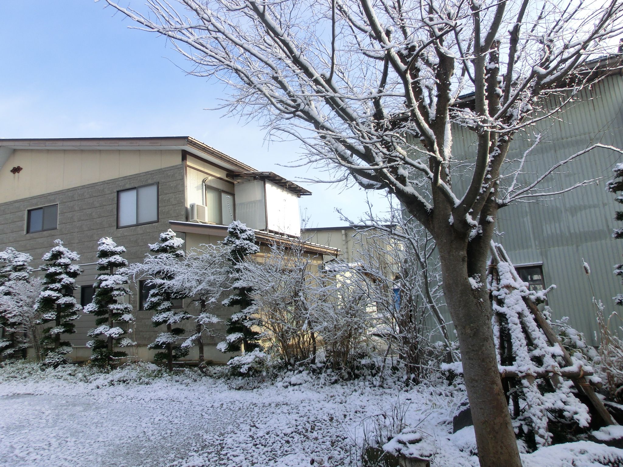 ◆今季初の積雪だす。　　　　　＠＠＠＠