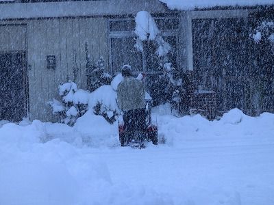 ◆各家庭では　　　＠＠＠