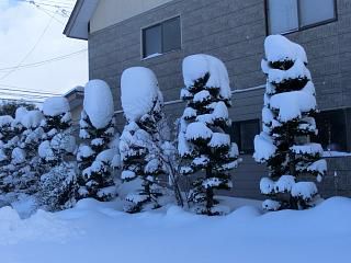 ◆雪の芸術　　　＠＠＠