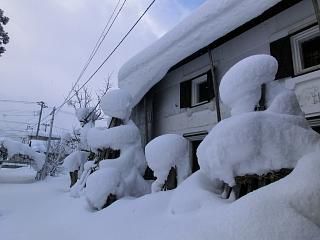 ◆雪の芸術　　＠＠＠