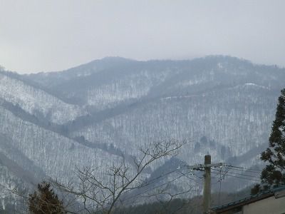 ◆枯れ木も山のにぎわいとは　　このことか　　＠＠＠