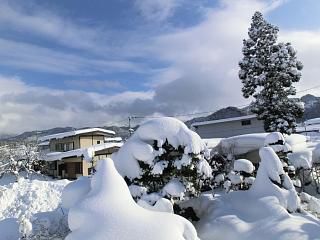 ◆本日は雪下ろし日和　　　　＠＠＠