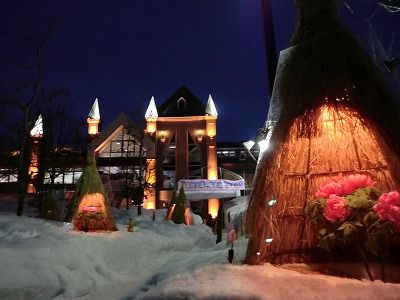 ◆グンジョウ色の夜空と牡丹の花　　＠＠＠