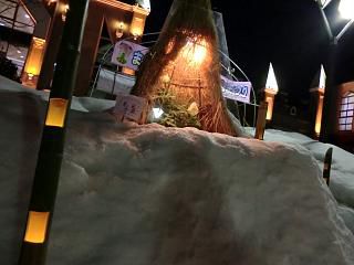 ◆冬咲きボタン祭り　夜間の明かり　　　＠＠＠