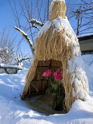 ◆コモに雪が　　　＠＠＠