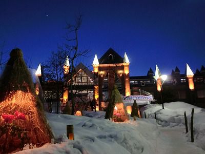 ◆快晴の夕方のボタン園　　　＠＠＠
