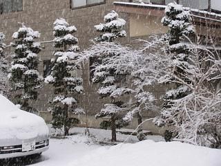 ◆暑さ寒さも彼岸まで　　　が当たらなくなりました。　　＠＠＠