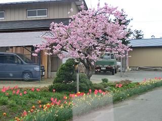 ◆今日で連休も終わりですね　　　＠＠＠