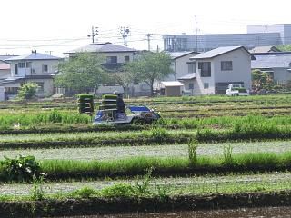 ◆田植え始まりました。　　　＠＠＠
