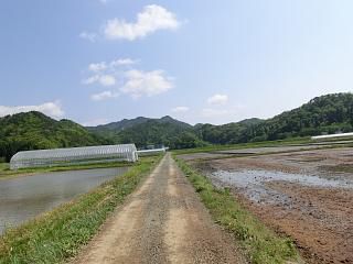 ◆まほろばの里の田園風景　　　＠＠＠