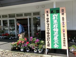◆シャクナゲ展開催　　　＠＠＠