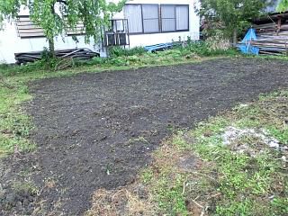 ◆家庭菜園1年生です。　　　　＠＠＠