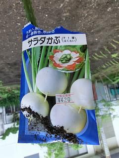 ◆家庭菜園１年生　　　＠＠＠