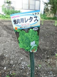 ◆家庭菜園　　１年生　　　＠＠＠