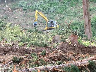 ◆鈴沼の山　伐採状況　　　＠＠＠