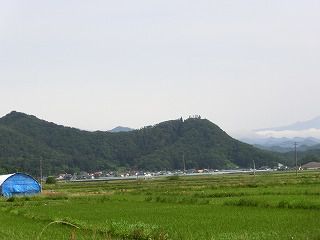 ◆高畠にもダイヤモンドヘッドが　　　-*-*-
